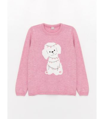 Crew Neck Patterned Long Sleeve Girl Tricot Sweater