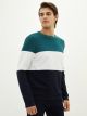 Crew Neck Long Sleeve Men's Sweatshirt with Color Block