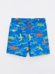 Printed Quick Drying Boy's Swim Shorts