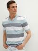 Polo Neck Striped Short Sleeve Pique T-Shirt