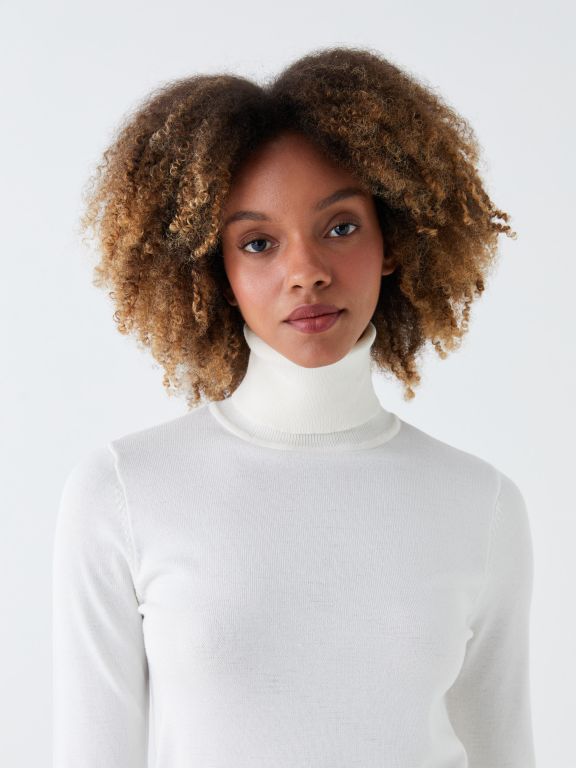 Turtleneck Regular Long Sleeve Women's Tricot Sweater