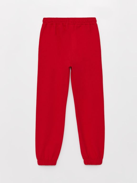 Basic Long Sleeve Girls Hoodie and Sweatpants Set