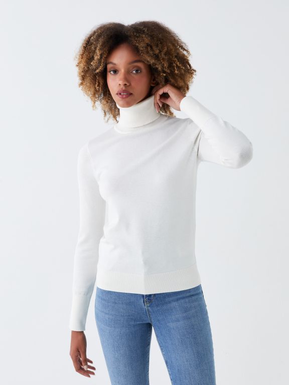 Turtleneck Regular Long Sleeve Women's Tricot Sweater