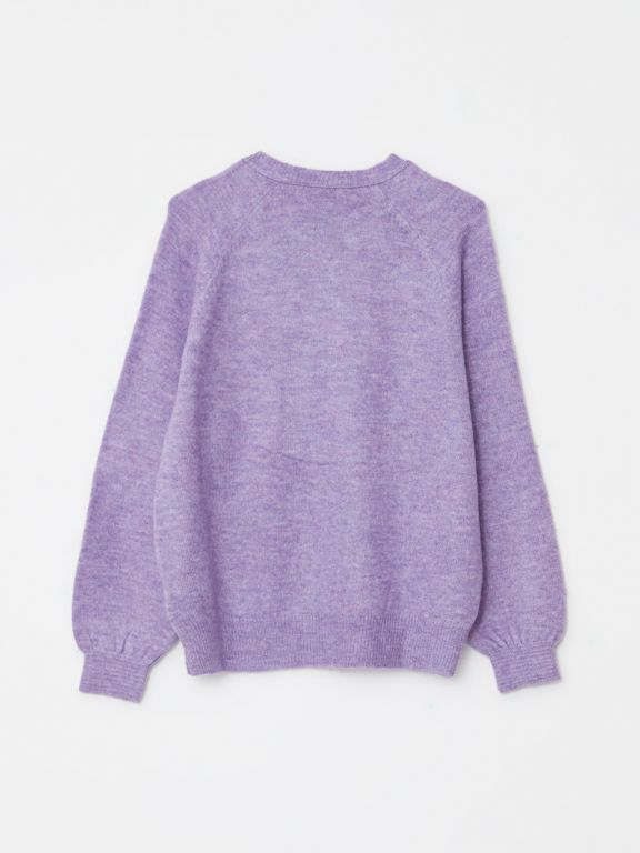 Crew Neck Regular Long Sleeve Women's Tricot Sweater