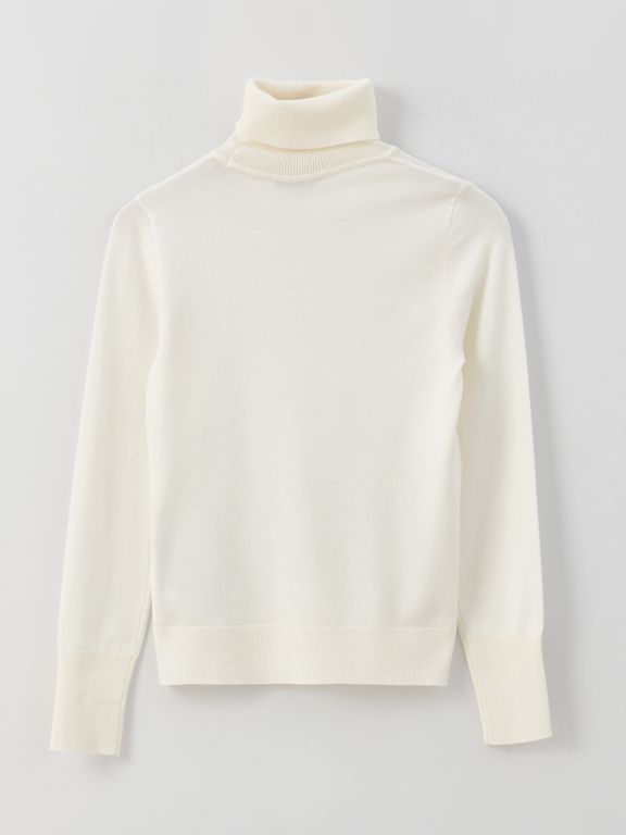 Turtleneck Regular Long Sleeve Women's Tricot Sweater