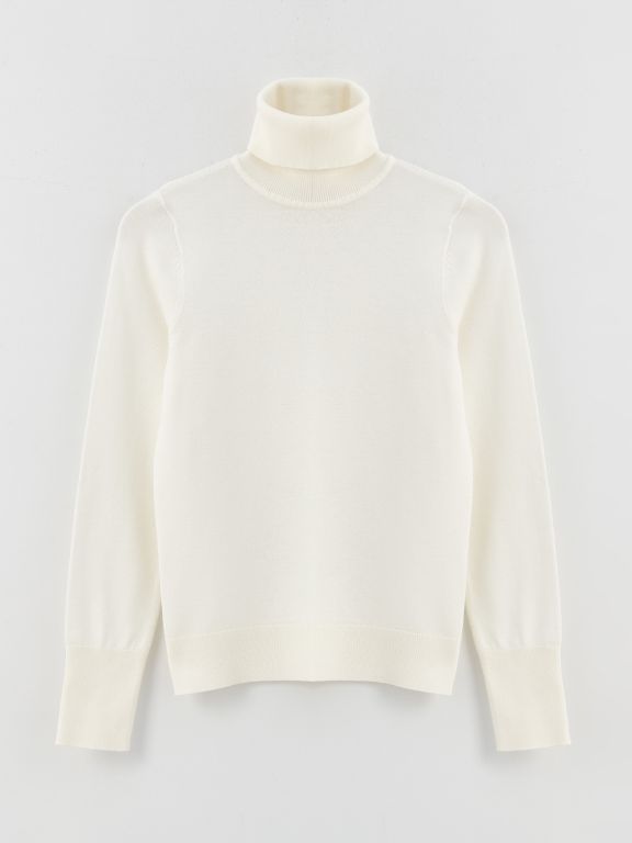 Turtleneck Regular Long Sleeve Women's Tricot Sweater