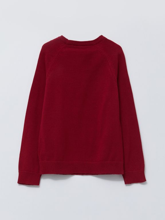 Crew Neck Basic Long Sleeve Boy Tricot Sweater