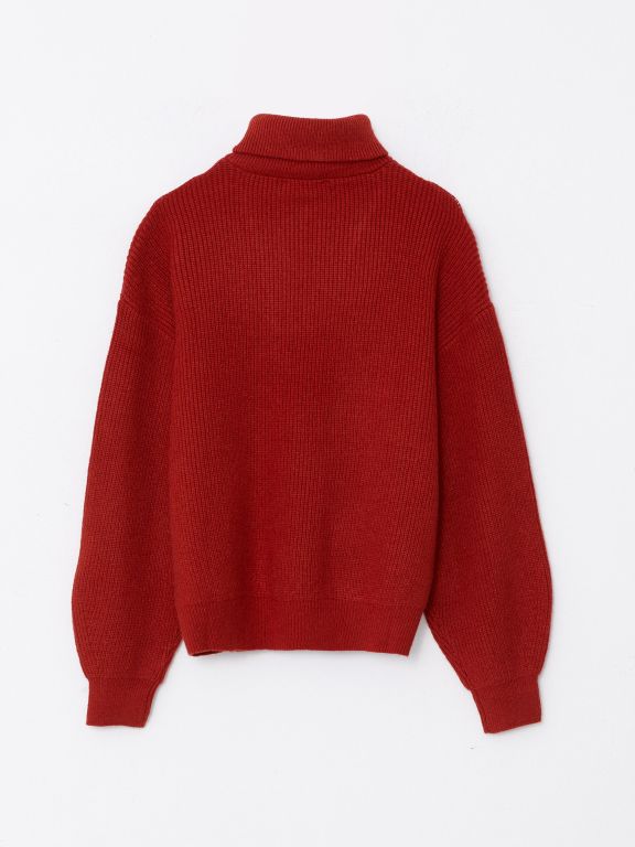Turtle Neck Regular Long Sleeve Women's Tricot Sweater