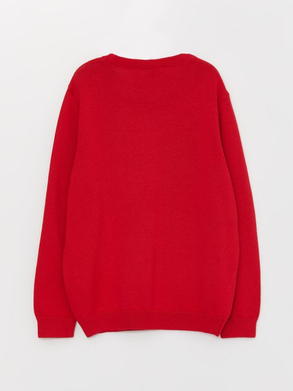 Crew Neck Basic Long Sleeve Boy Tricot Sweater