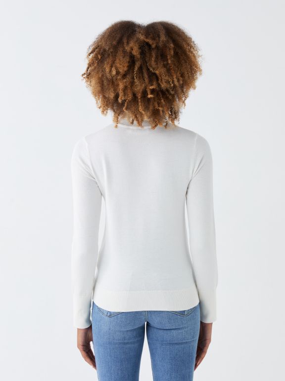 Turtleneck Regular Long Sleeve Women's Tricot Sweater