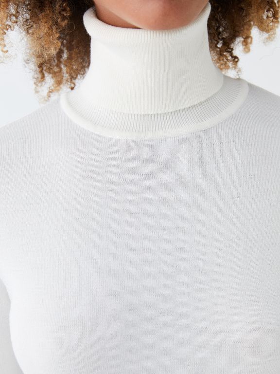 Turtleneck Regular Long Sleeve Women's Tricot Sweater