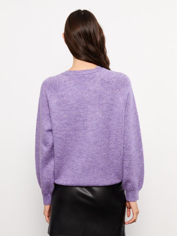 Crew Neck Regular Long Sleeve Women's Tricot Sweater