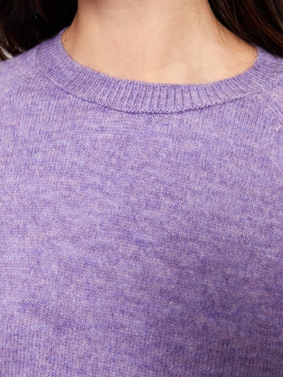 Crew Neck Regular Long Sleeve Women's Tricot Sweater