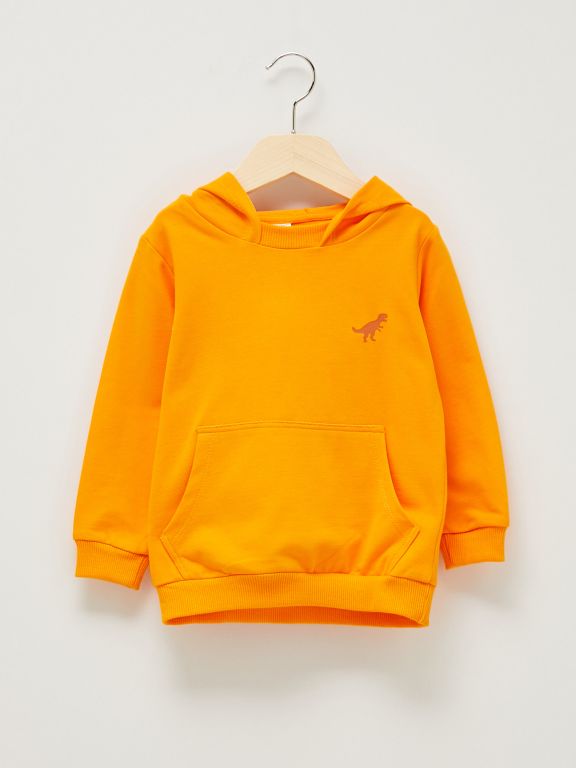 Hooded Long Sleeve Printed Baby Boy Sweatshirt