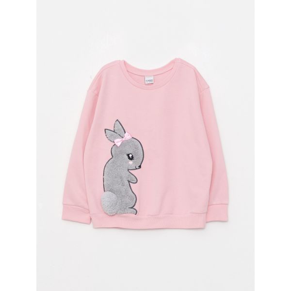 Crew Neck Embroidered Long Sleeve Girl Sweatshirt