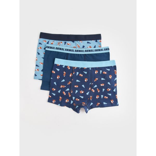 Printed Boy Boxer 3-Pack